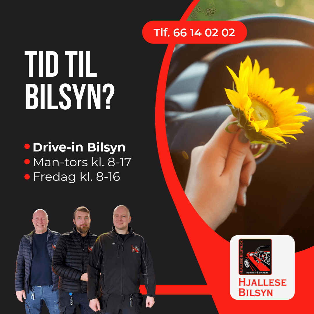 Tid til bilsyn?
